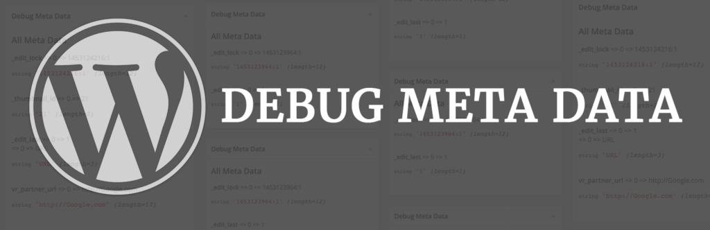 WordPress Debug meta Data